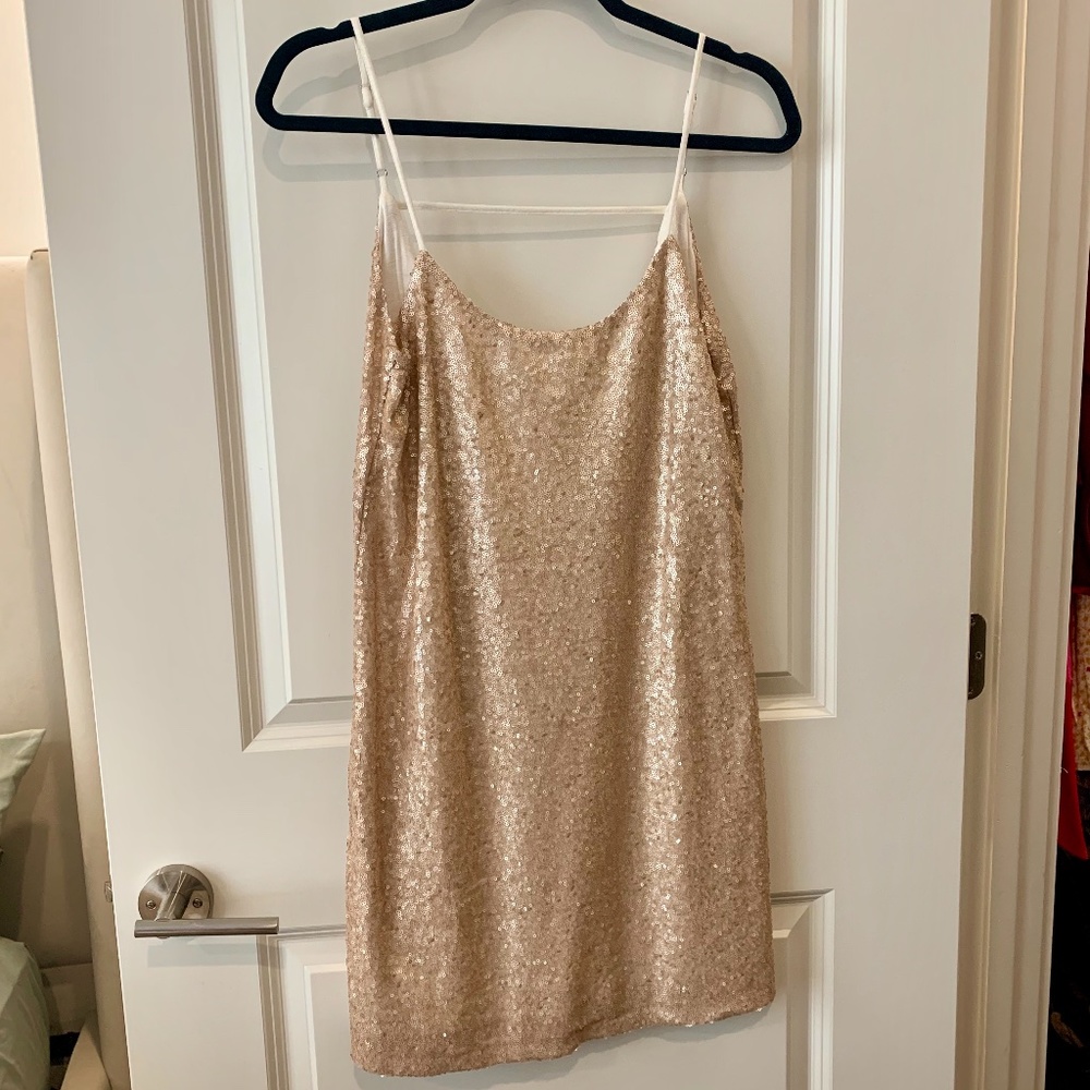 Sequin Champagne Dress